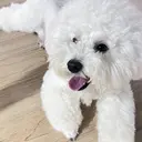 Kurehashi Yui🧸のプロフィール画像