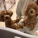 中山 翔愛のプロフィール画像