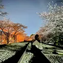 坂井 さやかのプロフィール画像