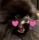 alice tokyo🌿鈴木のプロフィール画像