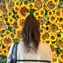 河村 萌美のプロフィール画像