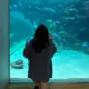 nicott 篠田のプロフィール画像