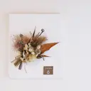 Horikawa Serinaのプロフィール画像