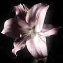 Sacco名駅店 黒淵のプロフィール画像