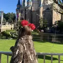 KATO CHIERIのプロフィール画像