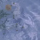 Yuka .のプロフィール画像