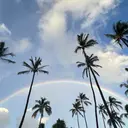 NATURE 高橋のプロフィール画像