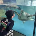 ネイリスト ももこのプロフィール画像