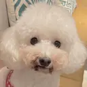 Beauty Sal on Milkのプロフィール画像