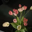 VIAS rin.⋆𝜗𝜚のプロフィール画像