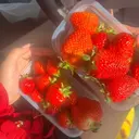 蛯原 藍佳のプロフィール画像