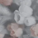 nail &lash ANEMONAのプロフィール画像