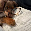 王 ユスのプロフィール画像