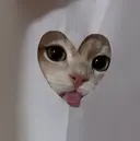 stellanail momoのプロフィール画像