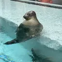 諏訪原 悠のプロフィール画像