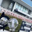 A.S ASUKAのプロフィール画像