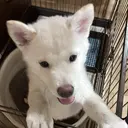 髙山 沙織のプロフィール画像