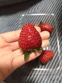 小嶋 未希のプロフィール画像