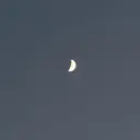 モリ ナツルのプロフィール画像