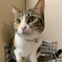 乗田 敬子のプロフィール画像