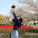 土日限定 梅田フラット120本のプロフィール画像