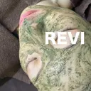 ReFaから新 メニューが追加！のプロフィール画像