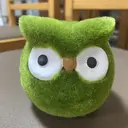 正楽 幸絵のプロフィール画像