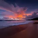 植島 紗和のプロフィール画像