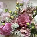 Nest 井戸のプロフィール画像