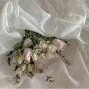 Alice 🪞のプロフィール画像