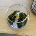 山﨑 友理のプロフィール画像