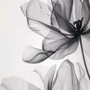 キャンアイ ドレッシーのプロフィール画像