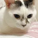 HANA【ハナ】🌺 kanaのプロフィール画像