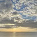 外園 花のプロフィール画像