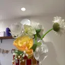 シマ レイナのプロフィール画像