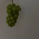 石川 璃桜のプロフィール画像