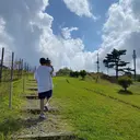 ARK 武藤のプロフィール画像