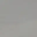 🐶 🐾のプロフィール画像