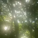 airi 🪽‪のプロフィール画像