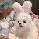 Mira 志木店 Momokaのプロフィール画像