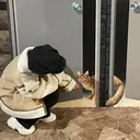 ちぐさ/暖色/ ワンカラー🤍のプロフィール画像