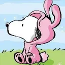 Tsuda ririkaのプロフィール画像