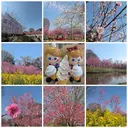 ryu seiのプロフィール画像