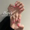 élevi sakuraのプロフィール画像