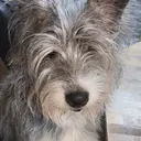 松島 hairのプロフィール画像