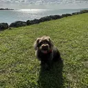 MISA/ terraのプロフィール画像