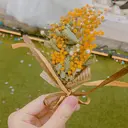 DEEyaba babaのプロフィール画像