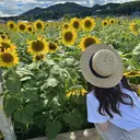 LAVISH ayukaのプロフィール画像