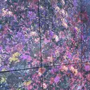 Sae まつぱ/アイブロウのプロフィール画像