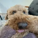 福沢 月渚のプロフィール画像